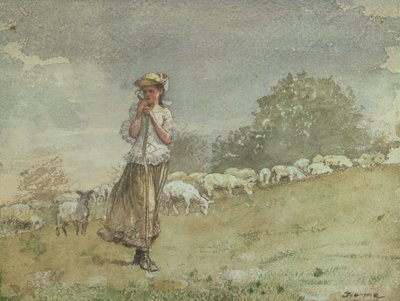 Tending Sheep, Houghton Farm, n. 1878-79 tekijältä Winslow Homer