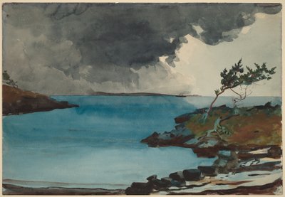  tekijältä Winslow Homer