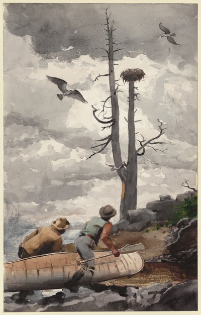 Kotkanpesä tekijältä Winslow Homer