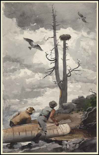 Kotkanpesä, 1902 tekijältä Winslow Homer