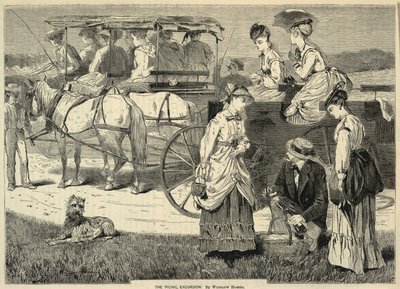 The Picnic Excursion, Appletons