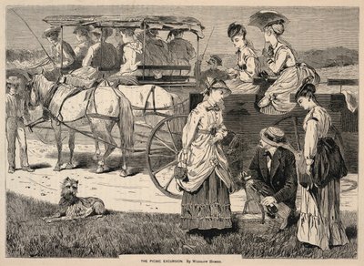 The Picnic Excursion, Appletons