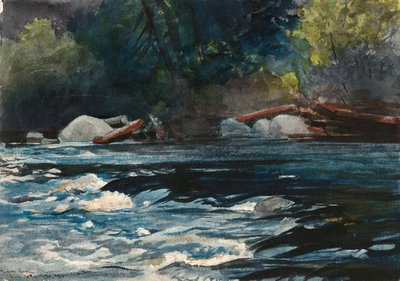 Rapids, Hudson River, Adirondacks tekijältä Winslow Homer