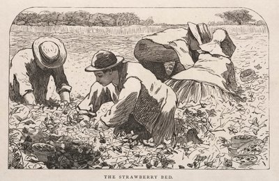 Mansikka sänky tekijältä Winslow Homer