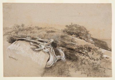 Puun juuret, Proutin kaula tekijältä Winslow Homer