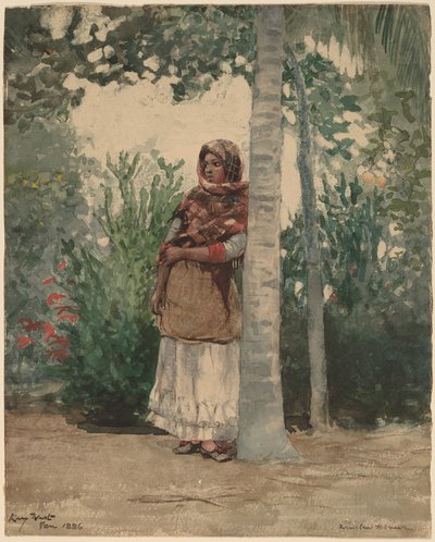 Palmun alla tekijältä Winslow Homer