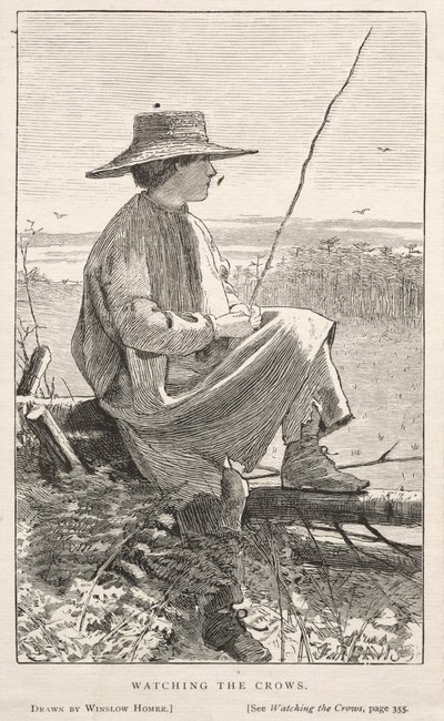 Varisten tarkkailu tekijältä Winslow Homer