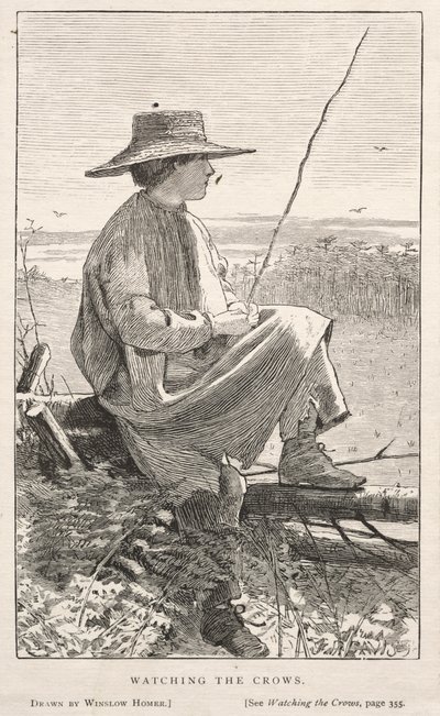 Varisten katselu, 1868. tekijältä Winslow Homer