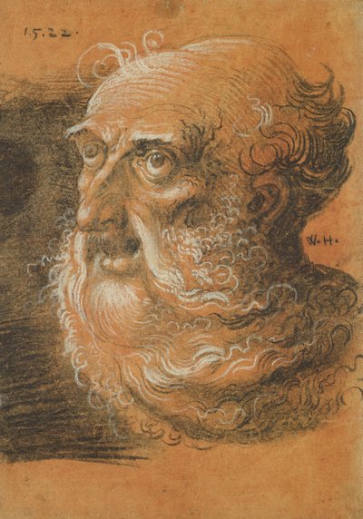 Head Study, 1522 (hiili ja valkoinen liitu paperille) tekijältä Wolf Huber