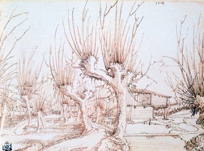 Willow Plantation, 1514 tekijältä Wolf Huber