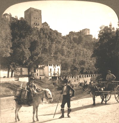 Alhambran seinät ja tornit, Granada, Espanja, 1896. tekijältä Works and Sun Sculpture Studios
