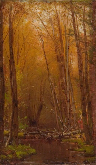 Catskillsin koivut tekijältä Worthington Whittredge
