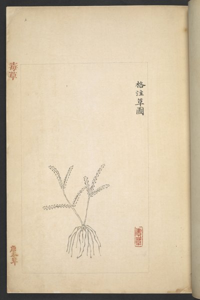 Tai 13347 B f.2r Plan 