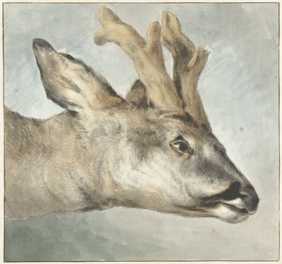 Roebuckin pää tekijältä Wybrand Hendriks