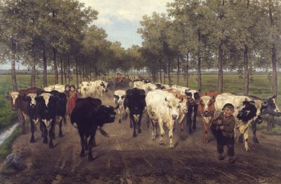 Meersstraat Gentissä tekijältä Xavier de Cock