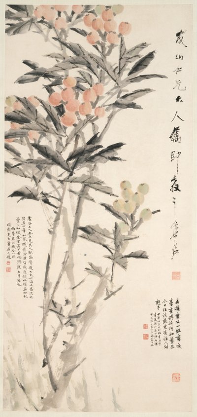 Pipa Loquats, c. 1888-89. tekijältä Xugu