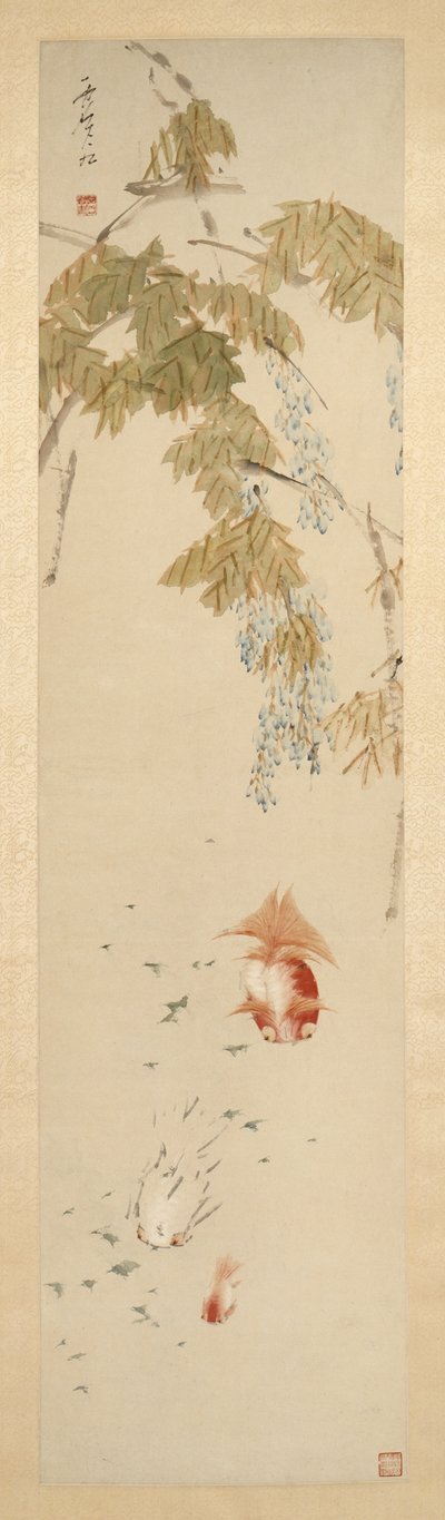 Wisteria ja kultakala 紫藤金魚圖 tekijältä Xugu