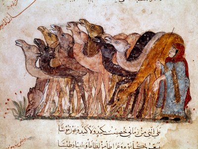 Ryhmä kameleja ja kameleja, karavaani erämaassa. Arabirunoilijan Abu Mohammed al-Kasim ibn Ali Haririn (tai Al-Hariri tai Al Hariri) (1054-1122) (1054-1122) arabirunoilijan Abu Mohammed al-Kasim ibn Ali Haririn (1054-1122) pikareskinen runo 1000-luvulta (S tekijältä Yahya ibn Mahmud Al Wasiti