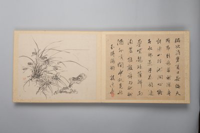 Hienostunutta eleganssia neljässä vuodenajassa Shiji seiga, Flower Paintings -albumi, 1844. tekijältä Yamamoto Baiitsu