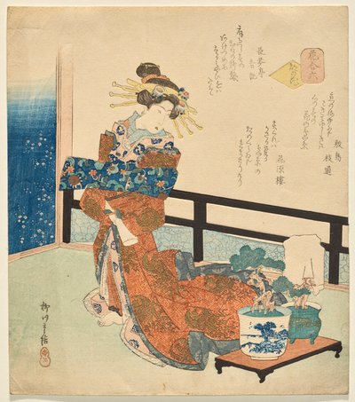 Numero kuusi: Pääkaupungin kukat, sarjasta Flowers tekijältä Yanagawa Shigenobu II