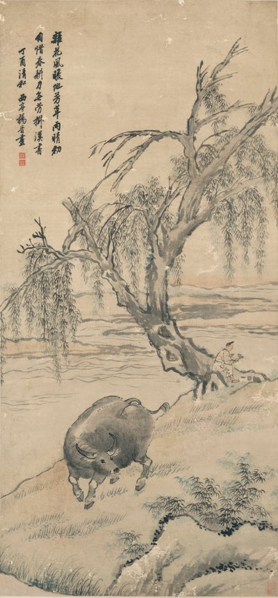 Buffalo Willow Bankissa tekijältä Yang Jin