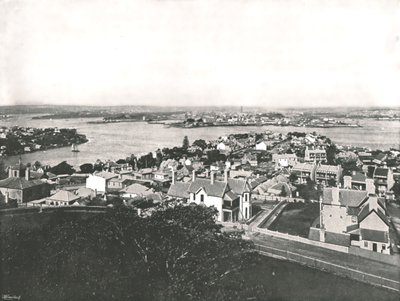 Näkymä North Shoresta, Sydney, Australia, 1895. tekijältä York and Son