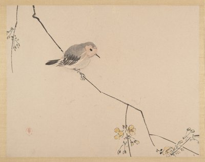 Maalaus tekijältä Zeshin Shibata