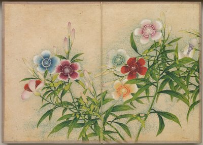 Pöytäalbumi: Flower and Bird Paintings Pinks, 17th Century. tekijältä Zhang Ruoai