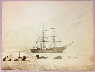 Kapteeni George Naresin (1831-1915) arktinen tutkimusmatka (1875-1876): H tekijältä Frederick (attr. to) Barnard
