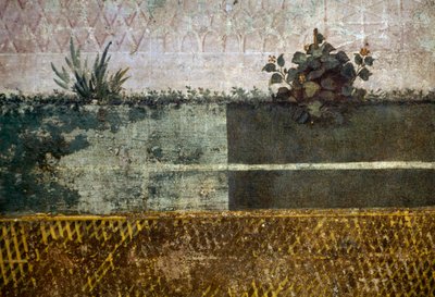 Kukkamaljakko, yksityiskohta freskosta, joka kuvaa puutarhaa hedelmäpuiden ja lintujen kera, Livian talosta Palatine-kukkulalla, Rooma, Italia. Roomalainen sivilisaatio tekijältä Georg Carl Heinrich Dollmann