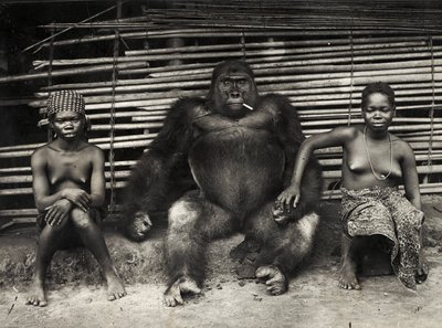 Gorilla (gelatiinihopeaprintti) tekijältä Hippolyte Lalaise Devéria