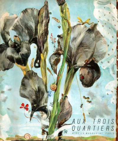 Iris (kukka). noin 1920 (kaiverrus) tekijältä . .