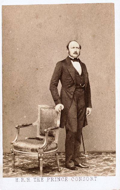 Prinssi Albert, kuningatar Victorian puoliso, n. 1860 tekijältä Frederick (attr. to) Barnard