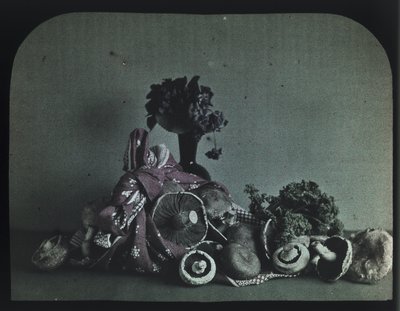 "Recolte fraiche" ("Fresh Gathered") tekijältä Frederick (attr. to) Barnard