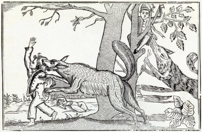 Susi noin 1820 (kaiverrus) tekijältä . .