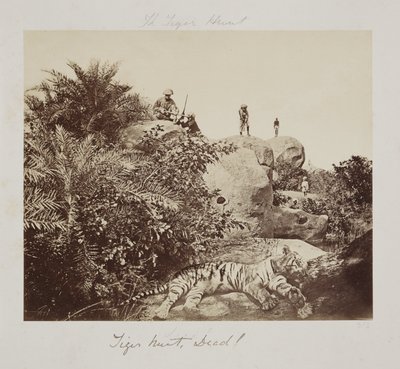 Tiger Hunt, Dead!", c tekijältä John Pardon