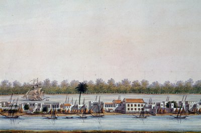 Näkymä St Louisiin, Senegaliin tekijältä William Walcutt
