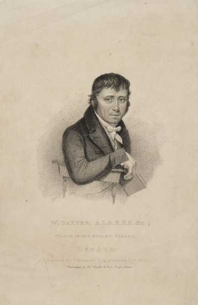 William Baxter, ALS FHS, brittiläinen kasvitieteilijä, n. 1820-luku tekijältä Frederick (attr. to) Barnard