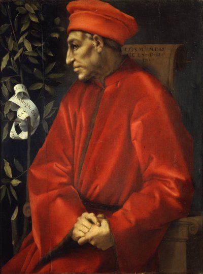 Ritratto di Cosimo tai Vecchio tekijältä Pontormo