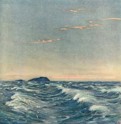 Valkoiset hevoset tekijältä after Donald Maxwell