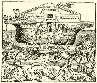 Nooan johtama arkin rakennus tekijältä after German School