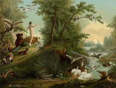 Aatami paratiisissa tekijältä Johann Elias Ridinger or Riedinger
