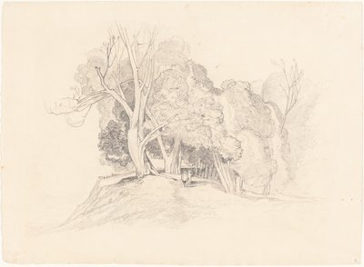 Maisema puiden kanssa tekijältä after John Sell Cotman British 19th Century
