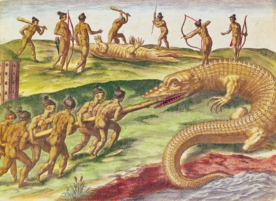 Metsästyskrokotiileja, "Brevis Narratiosta...", julkaisija Theodore de Bry, 1591, (värikaiverrus) tekijältä after Le Moyne, J.Bry
