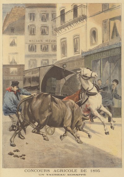Maatalousnäyttely 1895. Paennut härkä tekijältä after Oswaldo Tofani
