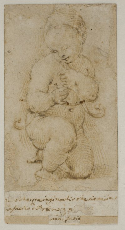 Lapsi Johannes Kastaja tekijältä after Raphael