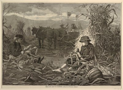 The Last Days of Harvest, Harper