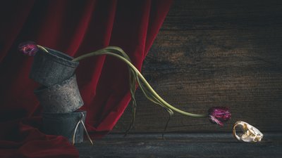 Tumma kukkainen pääkallo tekijältä alan shapiro