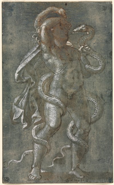 Kahden käärmeen kietouma mies tekijältä attributed to Giovanni Antonio da Pordenone