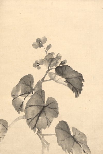 Begonian haara kukkivassa tekijältä attributed to Kono Bairei